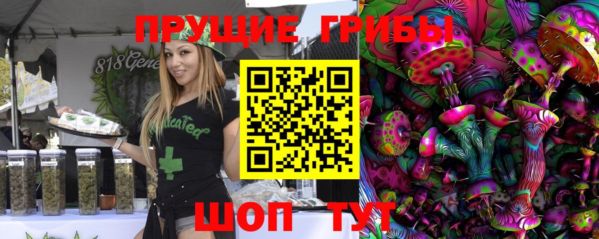 Псилоцибиновые грибы мухоморы Черногорск
