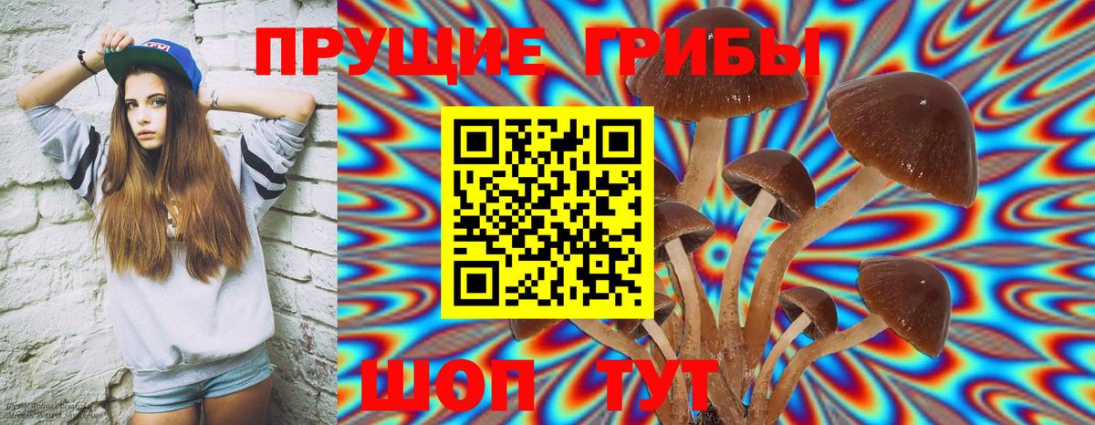 Псилоцибиновые грибы мицелий  Галлюциногенные грибы MAGIC MUSHROOMS  Вход с VPN  Черногорск 